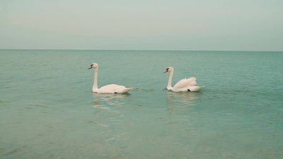 Escort in Hollywood FL